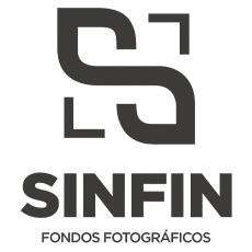 Sin Fin
